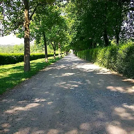 L'albero Maestro Bed & Breakfast