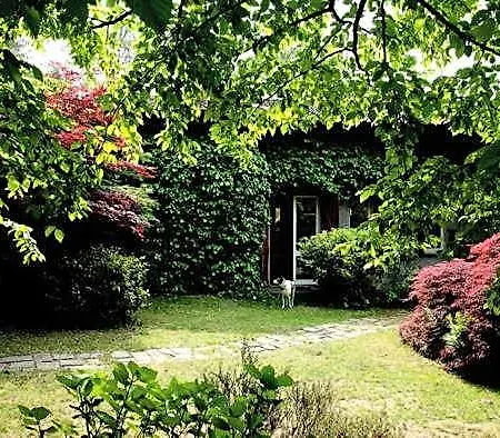 L'albero Maestro Bed & Breakfast Orsenigo