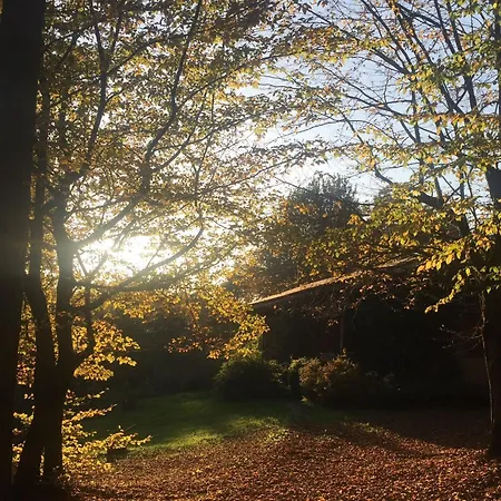 Panzió L'albero Maestro Orsenigo