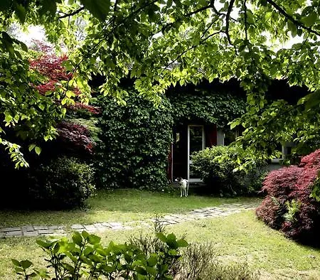 L'albero Maestro * Orsenigo