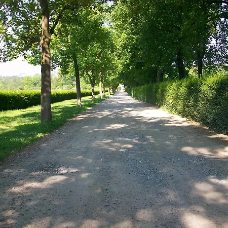 L'albero Maestro Panzió Orsenigo